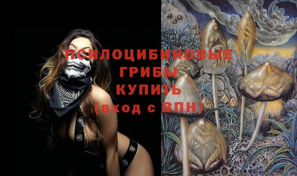 спайс Алексеевка