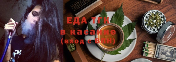 хмурый Алзамай